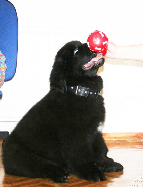 Фотография № 38023