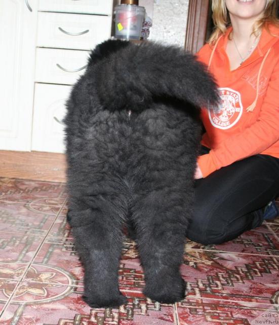 Фотография № 38037