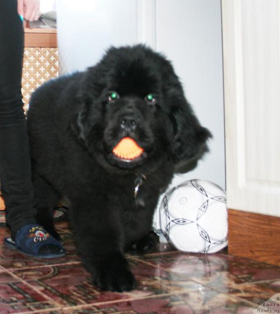 Фотография № 38039