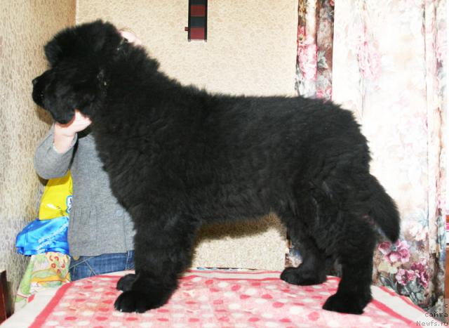 Фотография № 38047