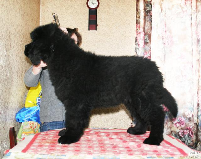 Фотография № 38048