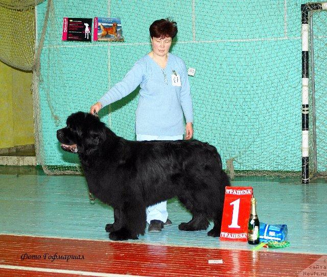 Фотография № 38061