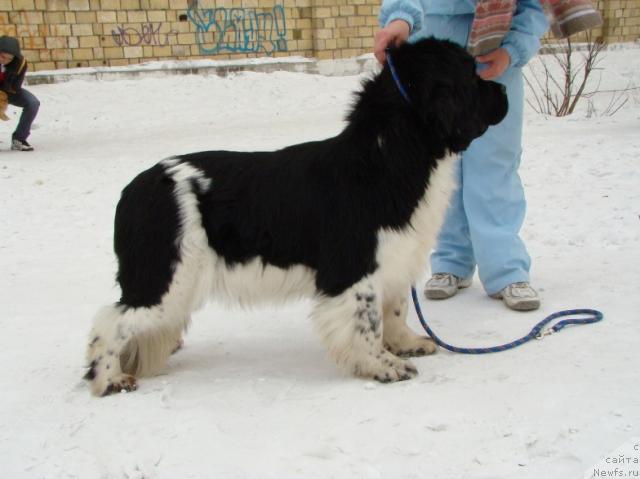 Фотография № 38063