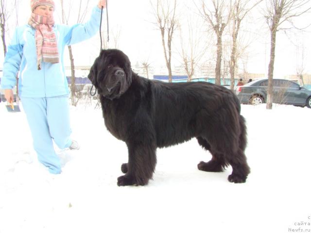 Фотография № 38068