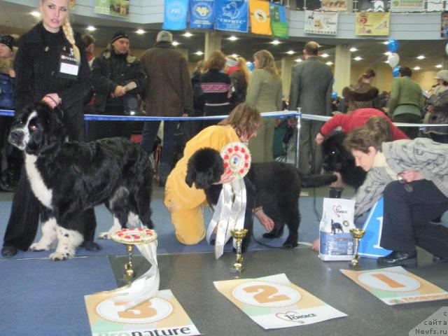 Фотография № 38069