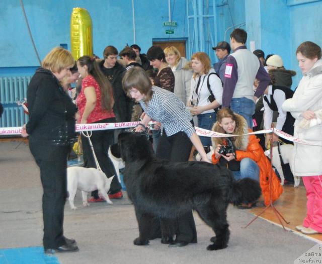 Фотография № 38075