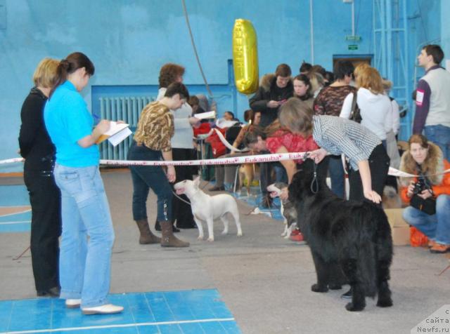 Фотография № 38076