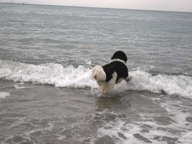 Фотография № 3808