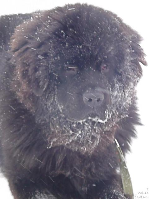 Фотография № 38100