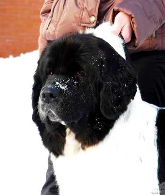 Фотография № 38112