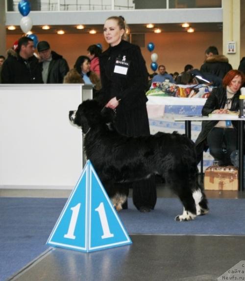 Фотография № 38118