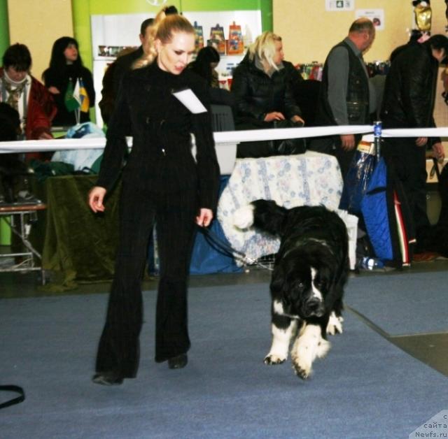 Фотография № 38119