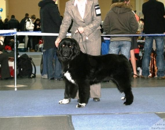 Фотография № 38123