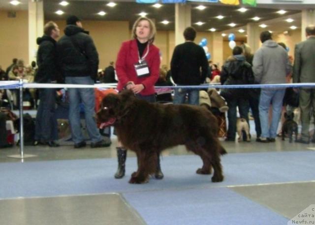 Фотография № 38127