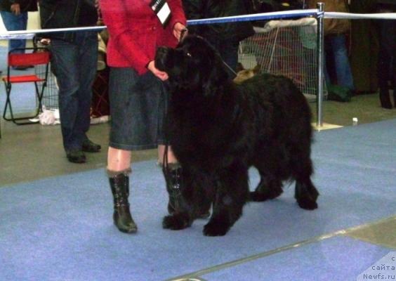 Фотография № 38129