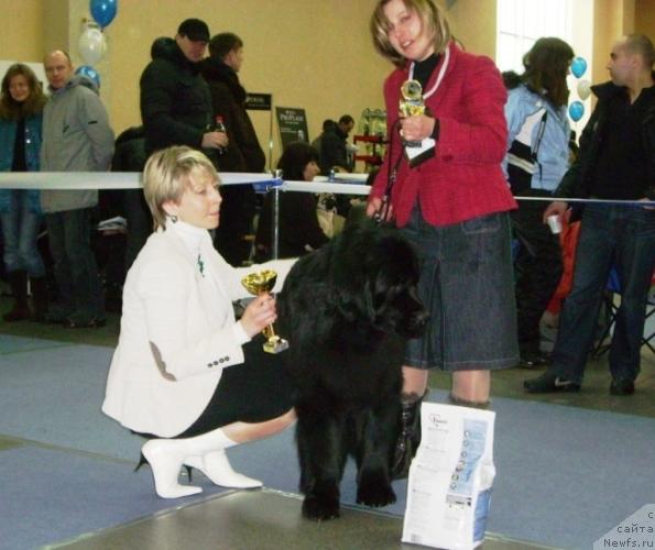 Фотография № 38131