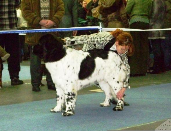 Фотография № 38132