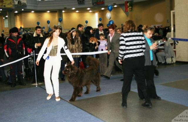 Фотография № 38143