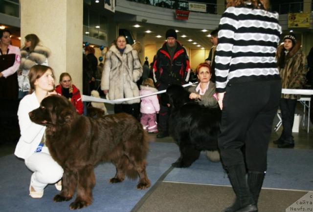 Фотография № 38144