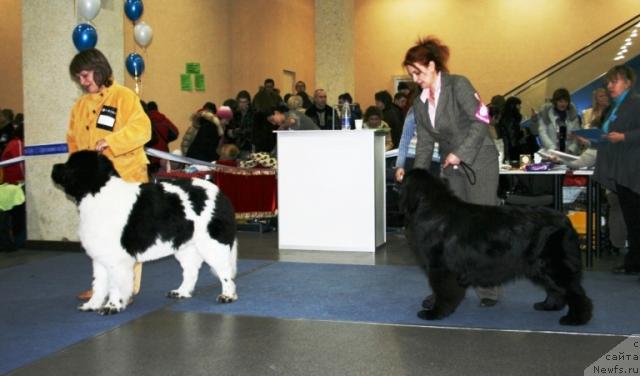 Фотография № 38145