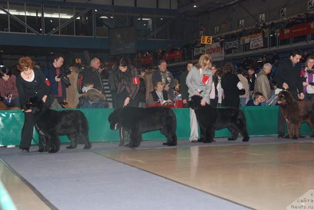 Фотография № 38151