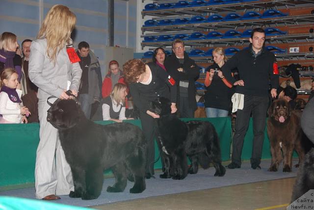 Фотография № 38153