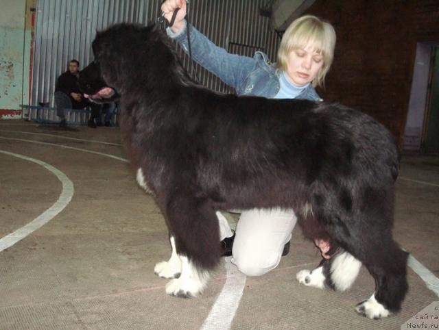 Фотография № 38166