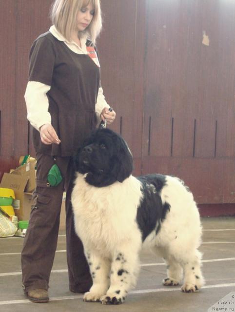 Фотография № 38168