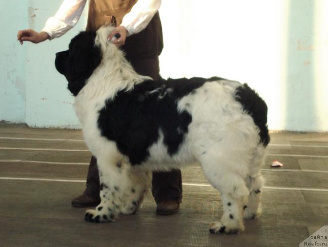 Фотография № 38169