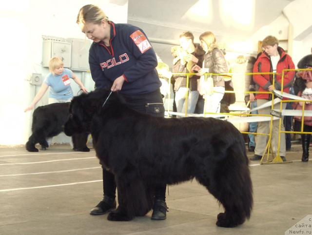 Фотография № 38172