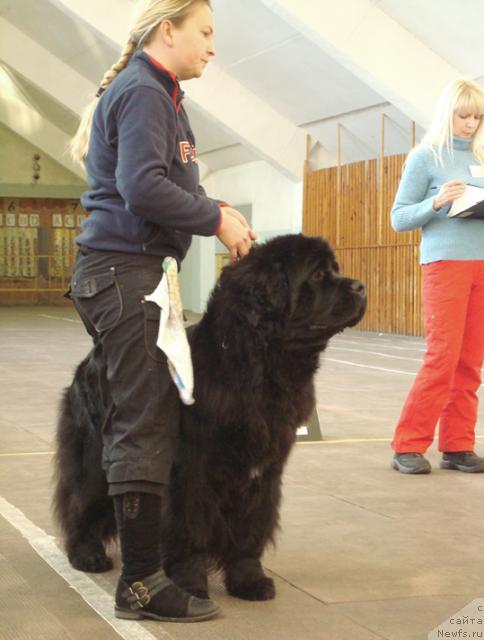 Фотография № 38173