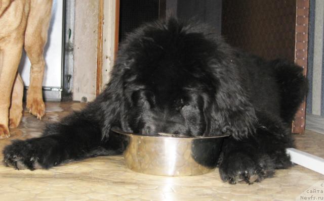 Фотография № 38186