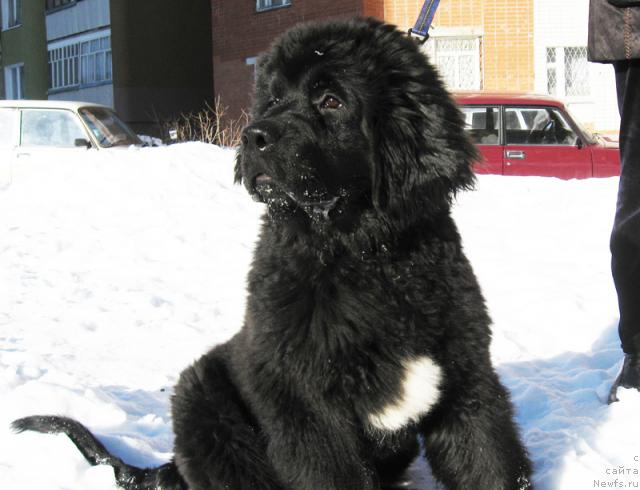 Фотография № 38187