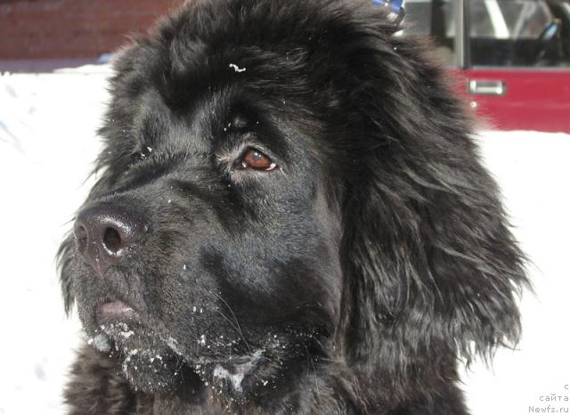 Фотография № 38188