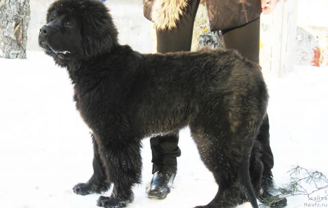 Фотография № 38189