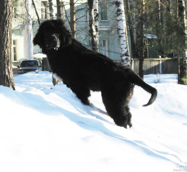 Фотография № 38191