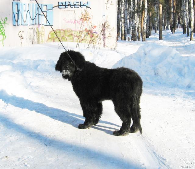 Фотография № 38192