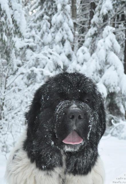 Фотография № 38212