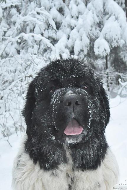 Фотография № 38214