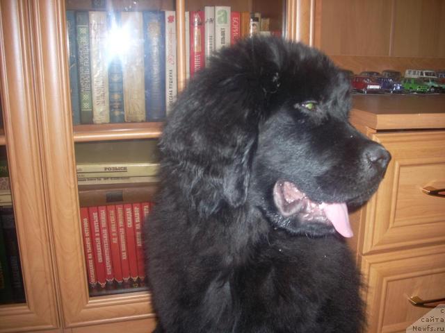 Фото: Ирина Жаворонкова