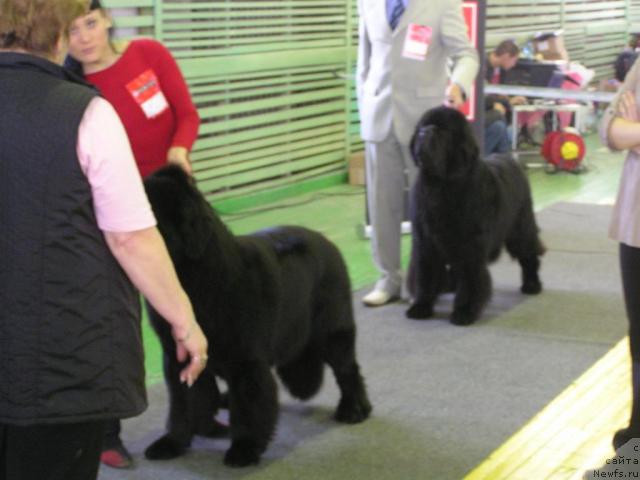 Фотография № 38218