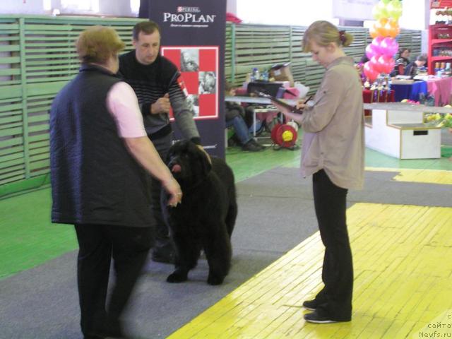 Фотография № 38220