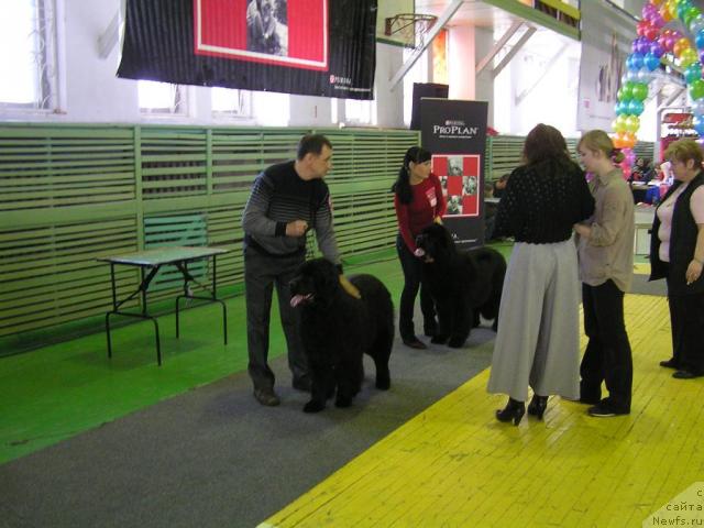 Фотография № 38221