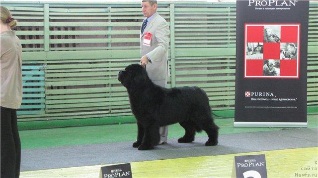 Фотография № 38222