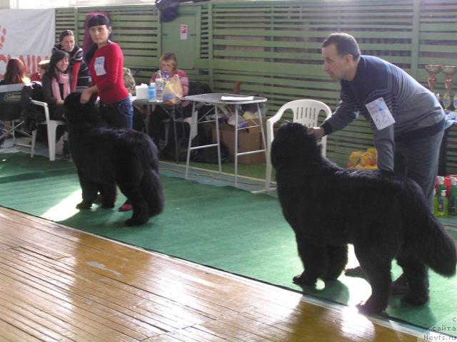 Фотография № 38225