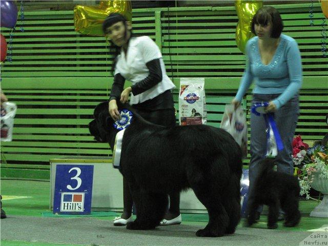 Фотография № 38226