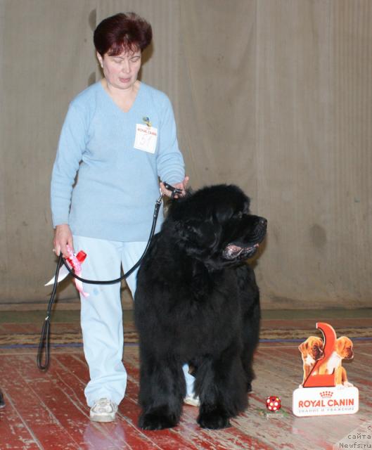 Фотография № 38234