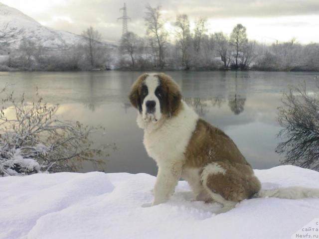 Фотография № 38237