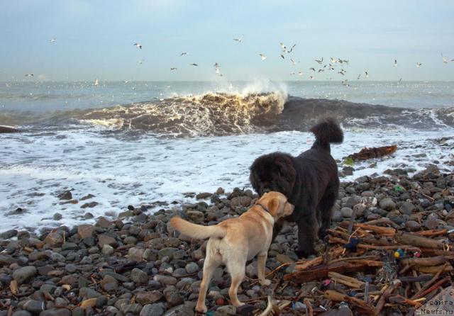 Фотография № 38241