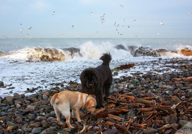 Фотография № 38242